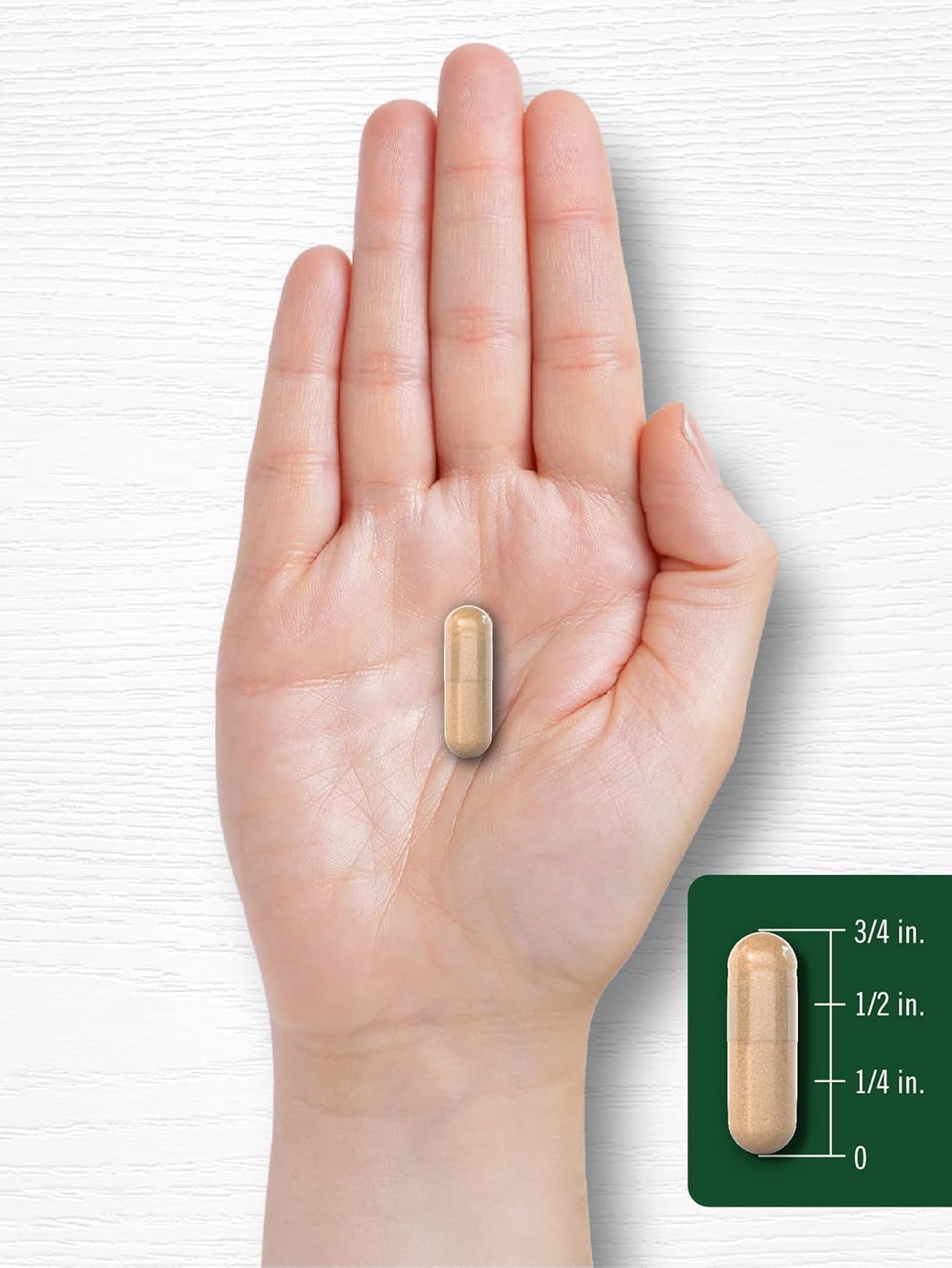 Carlyle Black Walnut Wormwood | 120 Capsules | Herbal Complex | Non-GMO, Gluten Free