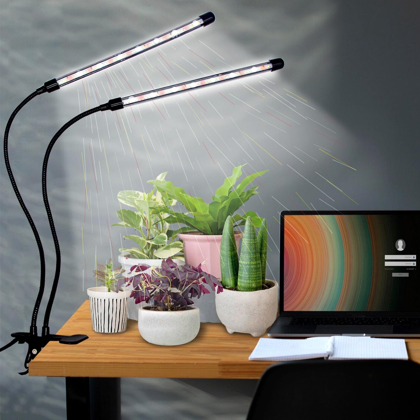 Grow Light for Indoor Plants - Upgraded Version 80 LED Lamps with Full Spectrum & Red Blue Spectrum, 3/9/12H Timer, 10 Dimmable Level, Adjustable Gooseneck,3 Switch Modes