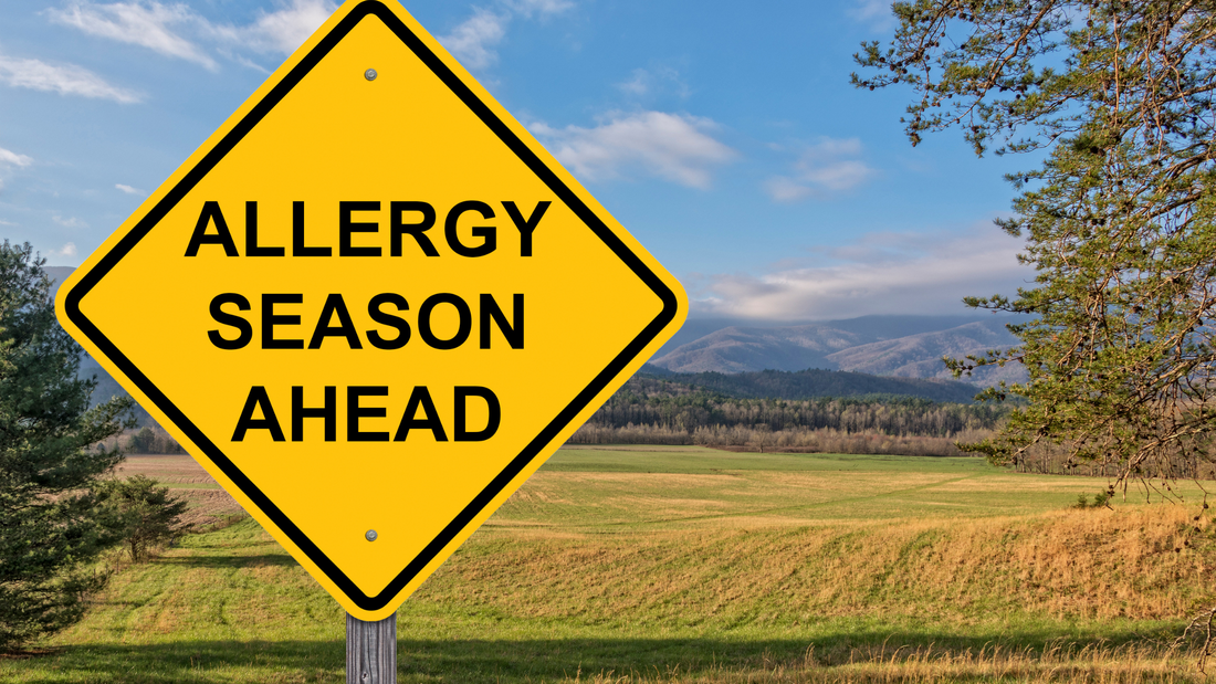 Surviving the Springtime Sneezes: How to Deal with Pollen Like a Pro
