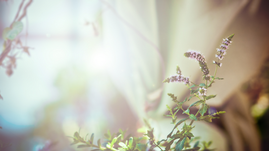 Sacred Girl Summer: The Art of Slowing Down & Showing Up for Yourself