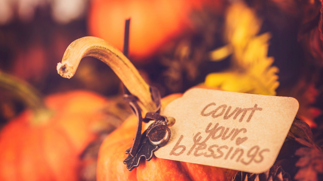 A Harvest of Gratitude: Nourishing the Soul on Thanksgiving