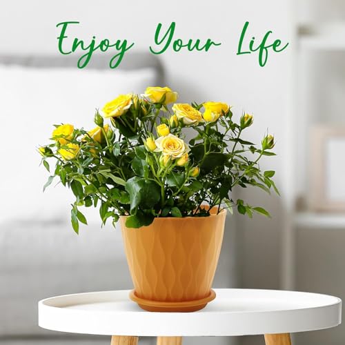 6 inch Plant Pots, 5 Pack Flower Pots Outdoor Indoor, Planters with Drainage Holes and Tray Saucers
