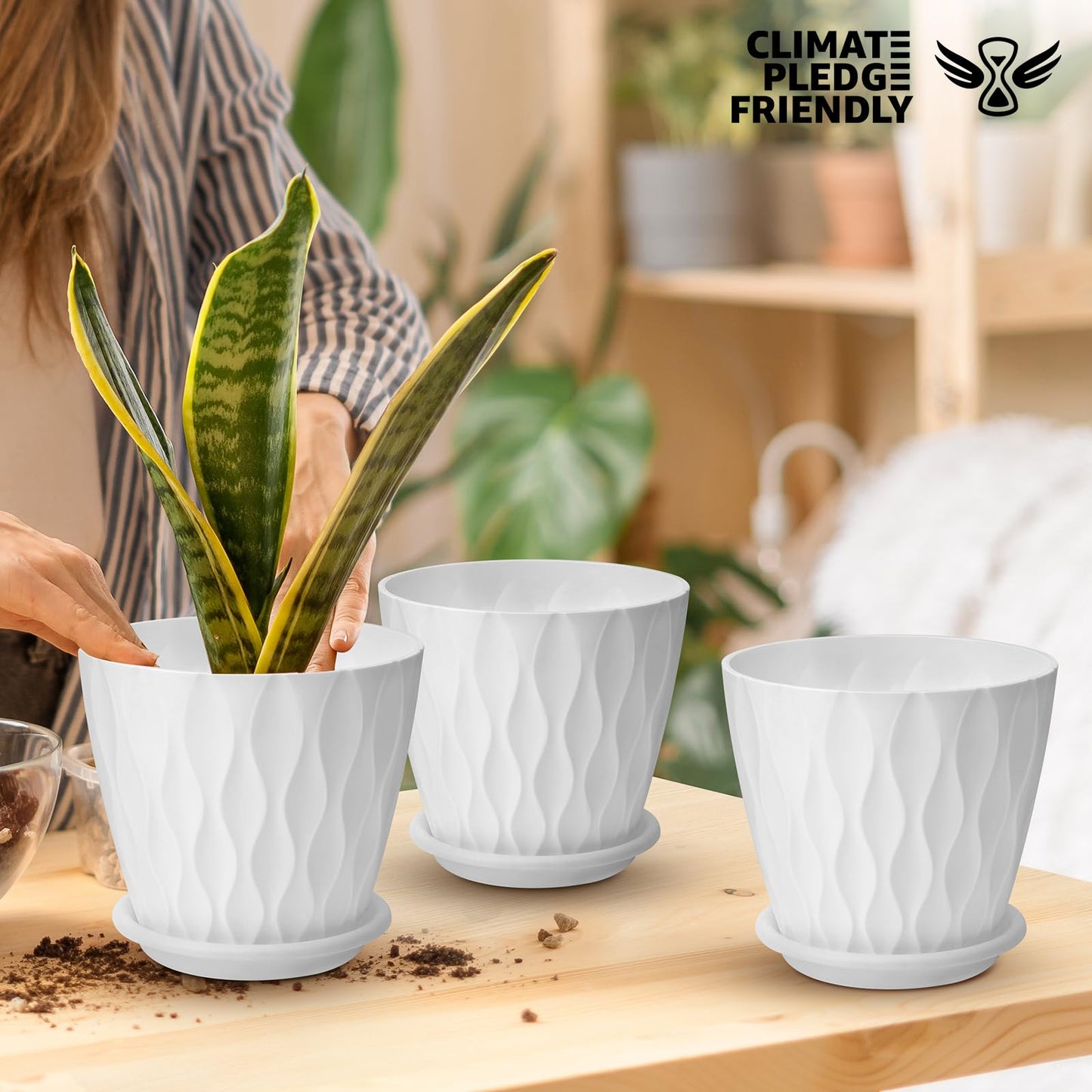 6 inch Plant Pots, 5 Pack Flower Pots Outdoor Indoor, Planters with Drainage Holes and Tray Saucers