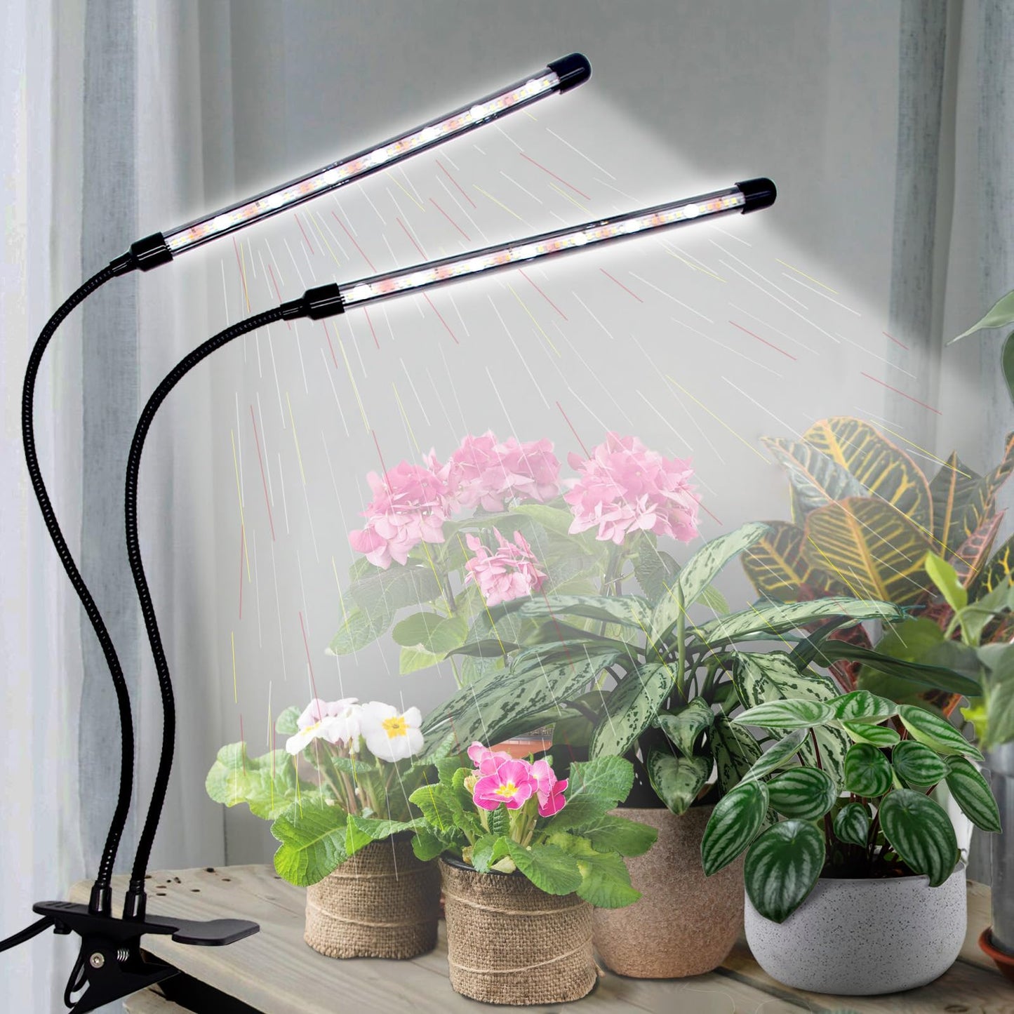 Grow Light for Indoor Plants - Upgraded Version 80 LED Lamps with Full Spectrum & Red Blue Spectrum, 3/9/12H Timer, 10 Dimmable Level, Adjustable Gooseneck,3 Switch Modes