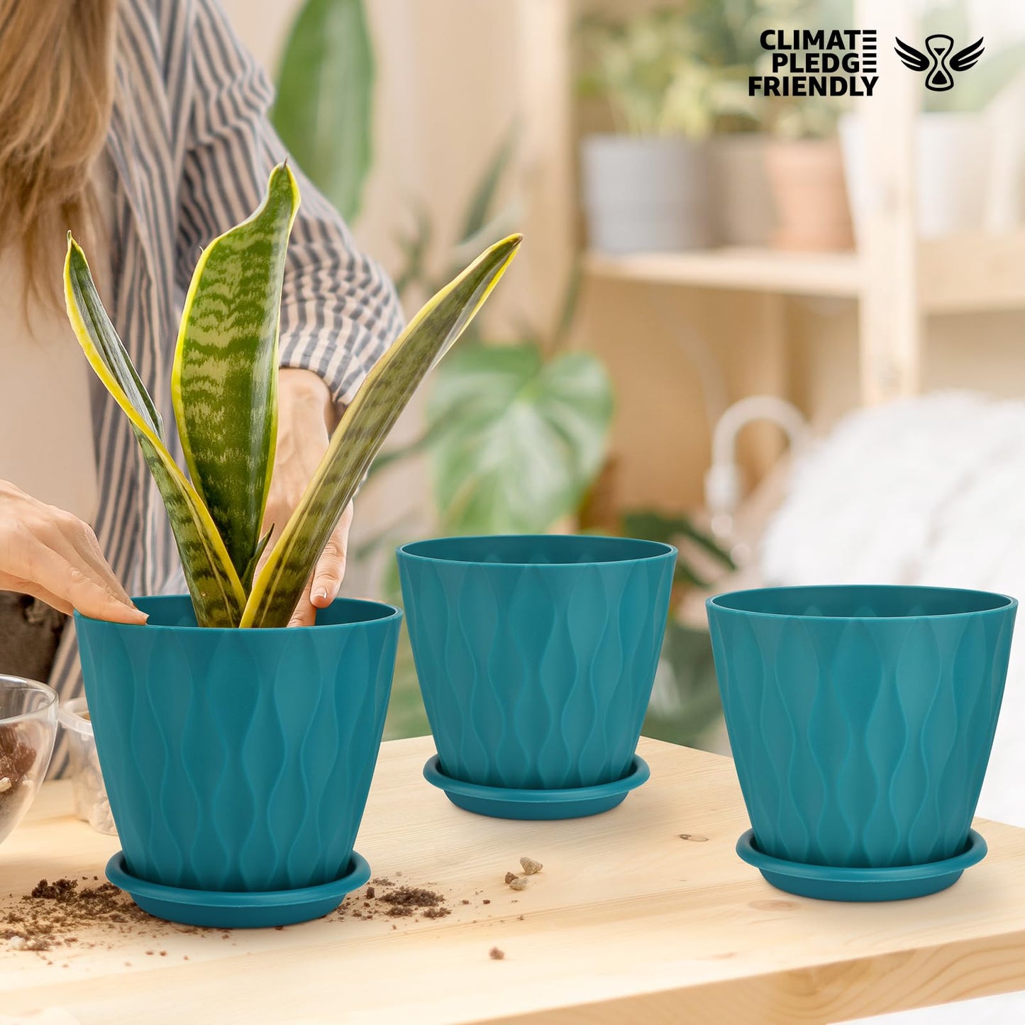 6 inch Plant Pots, 5 Pack Flower Pots Outdoor Indoor, Planters with Drainage Holes and Tray Saucers