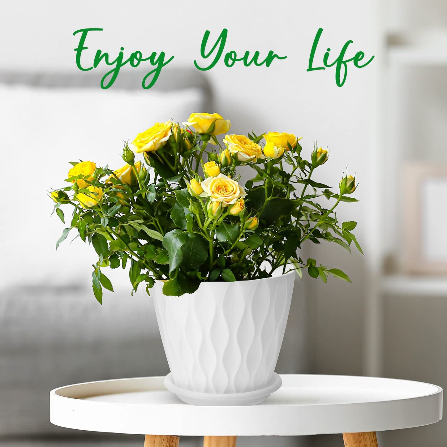 6 inch Plant Pots, 5 Pack Flower Pots Outdoor Indoor, Planters with Drainage Holes and Tray Saucers