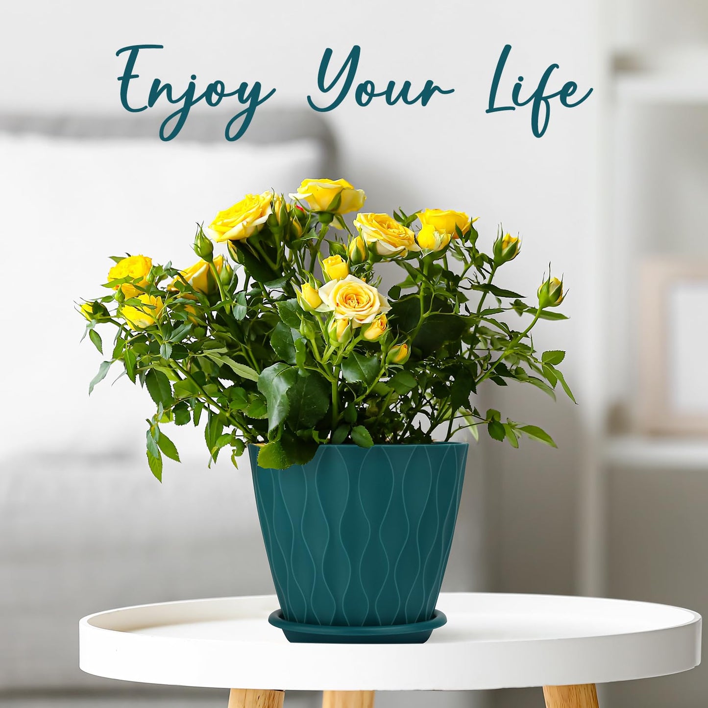 6 inch Plant Pots, 5 Pack Flower Pots Outdoor Indoor, Planters with Drainage Holes and Tray Saucers