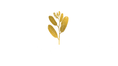 Bia Vee Essentials LLC 