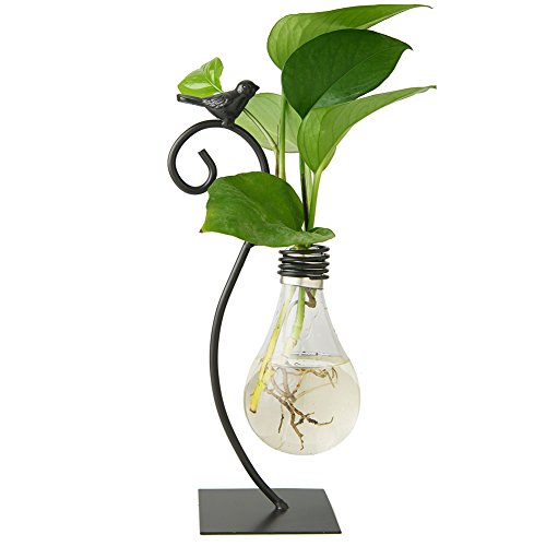 Marbrasse Glass Planter Hydroponics Vase | Planter Bulb Vase with Holder for Home Decoration | Modern Creative Bird Plant Terrarium Stand | Scindapsus Container (Bulb Vase)